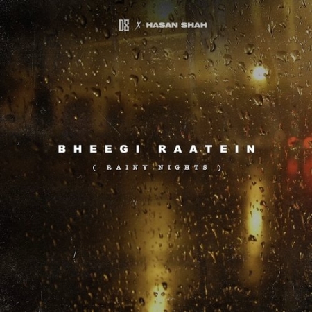 Bheegi Raatein Rainy Nights