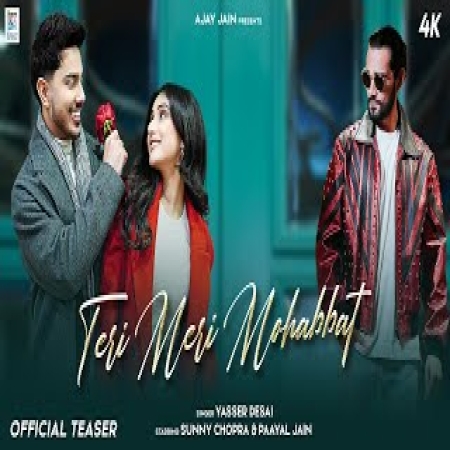 Teri Meri Mohabbat