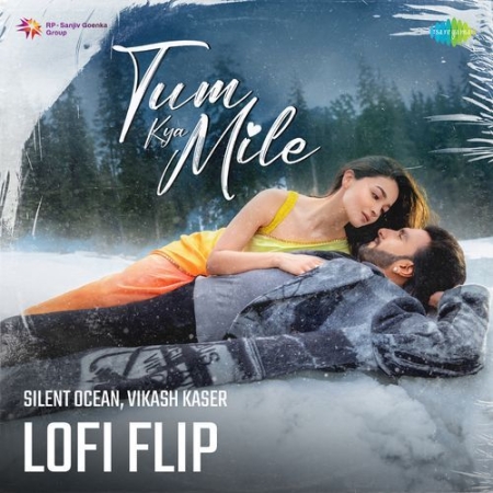 Tum Kya Mile   LoFi Flip