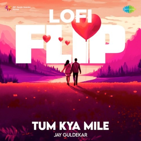 Tum Kya Mile   LoFi Flip