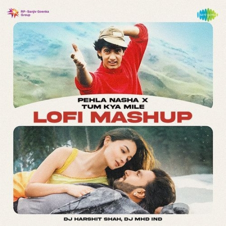 Pehla Nasha x Tum Kya Mile   LoFi Mashup